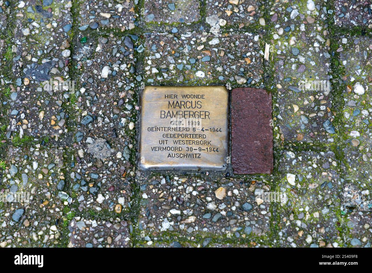 Pierre de trébuchement Amsterdam, pierres avec une couche supérieure en laiton qui sont posées dans le trottoir en face de la dernière maison (librement choisie) de quelqu'un qui est tombé v Banque D'Images