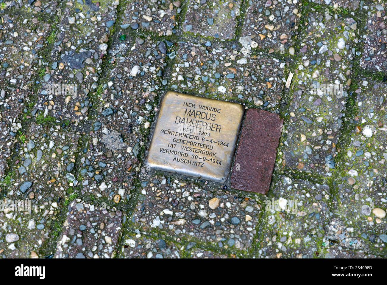 Pierre de trébuchement Amsterdam, pierres avec une couche supérieure en laiton qui sont posées dans le trottoir en face de la dernière maison (librement choisie) de quelqu'un qui est tombé v Banque D'Images