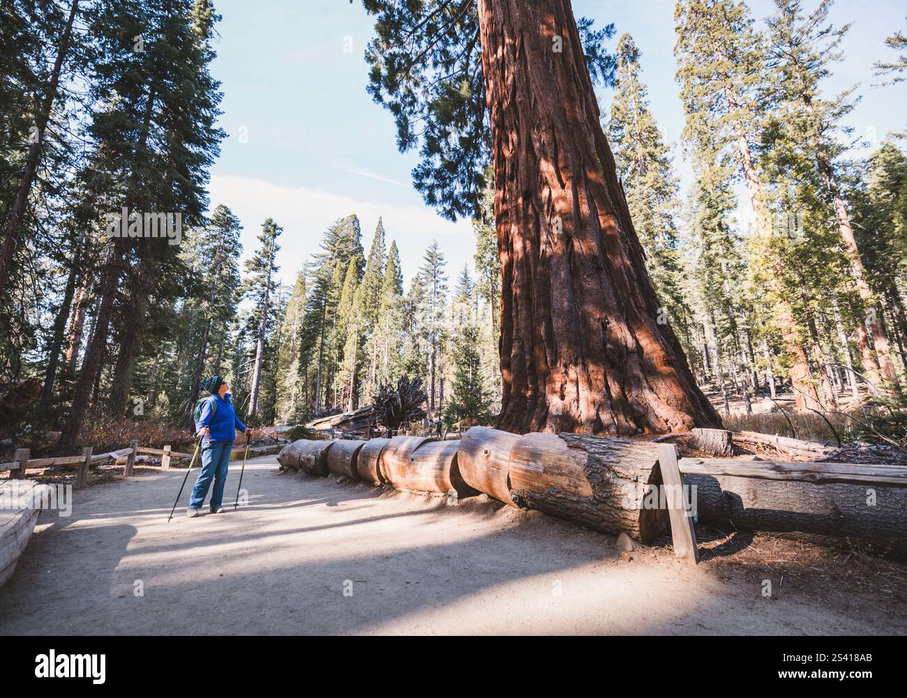 Une femme retraitée plus âgée fait des randonnées le long du sentier de Yosemite Park, en Californie Banque D'Images