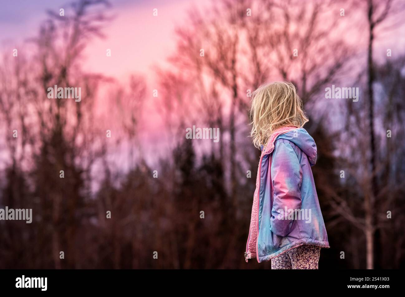Fille dehors au coucher du soleil de la barbe à papa Banque D'Images
