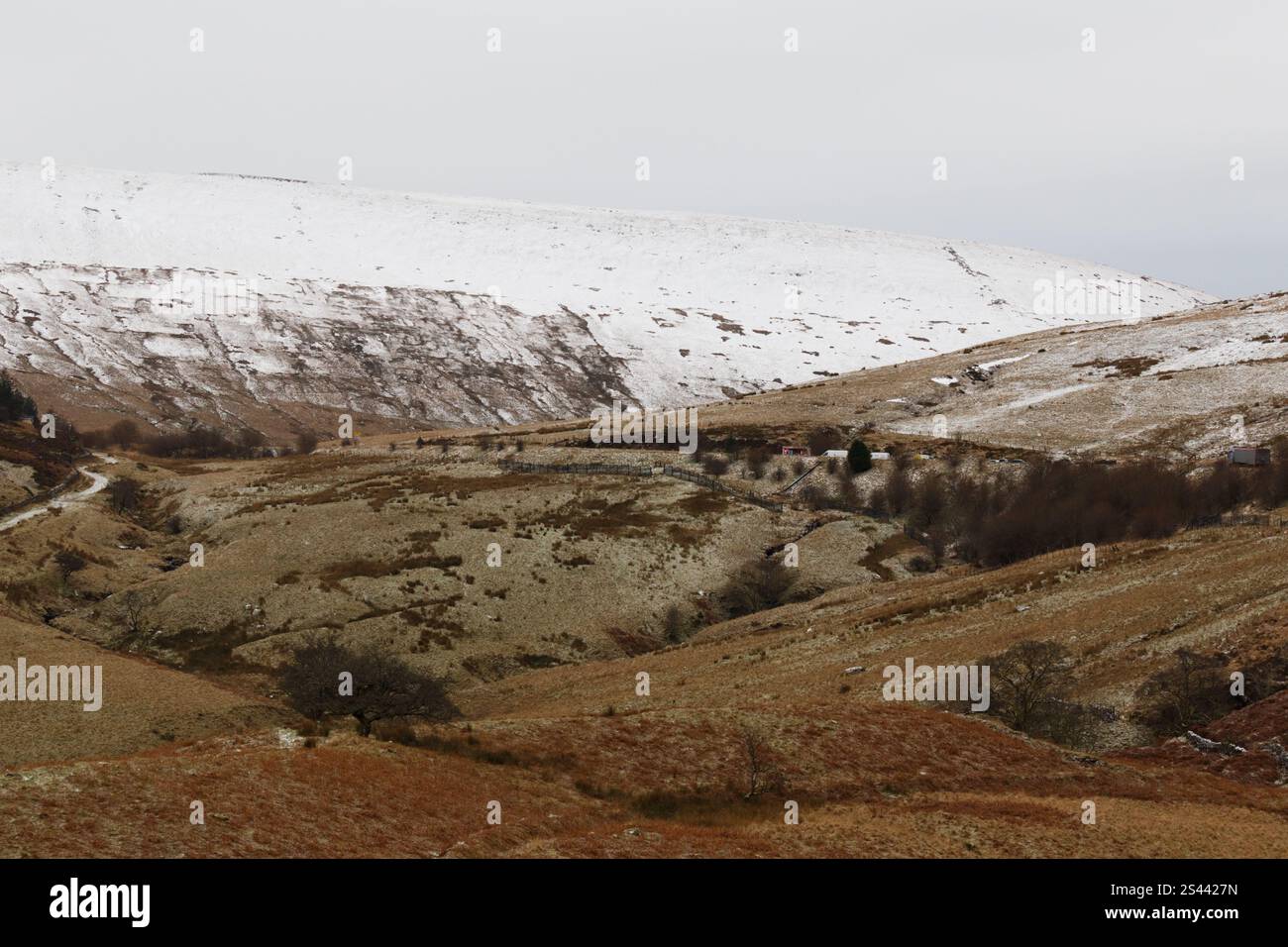 Storey Arms, Brecon Beacons, Galles du Sud, Royaume-Uni. 10 janvier 2025. Neige au sommet des Brecon Beacons ce matin. Crédit : Andrew Bartlett/Alamy Live News Banque D'Images Storey Arms, Brecon Beacons, Galles du Sud, Royaume-Uni. 10 janvier 2025. Neige au sommet des Brecon Beacons ce matin. Crédit : Andrew Bartlett/Alamy Live News Banque D'Images