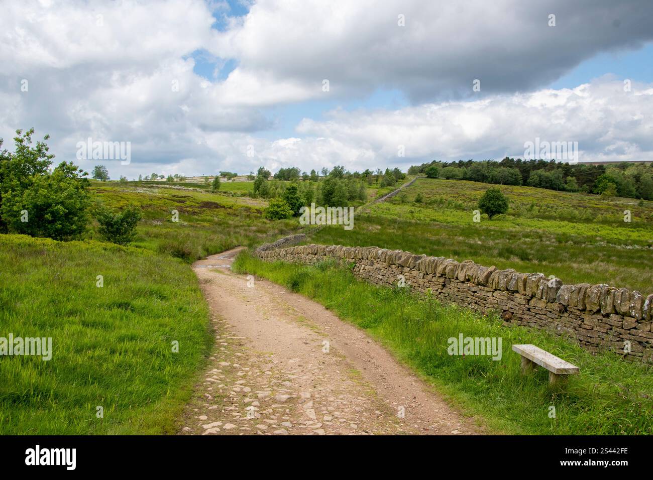 Une piste de terre serpente le long d'un mur de pierres sèches à travers la landcsape de landes de la réserve naturelle de Blacka Moor, Peak District, Royaume-Uni Banque D'Images