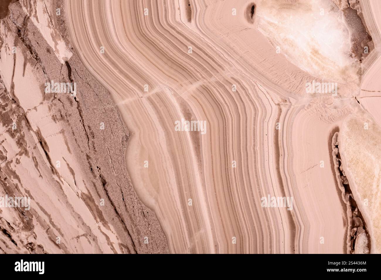 Texture opale en mousse moka présentant des motifs ondulés détaillés et une élégance terreuse. Banque D'Images