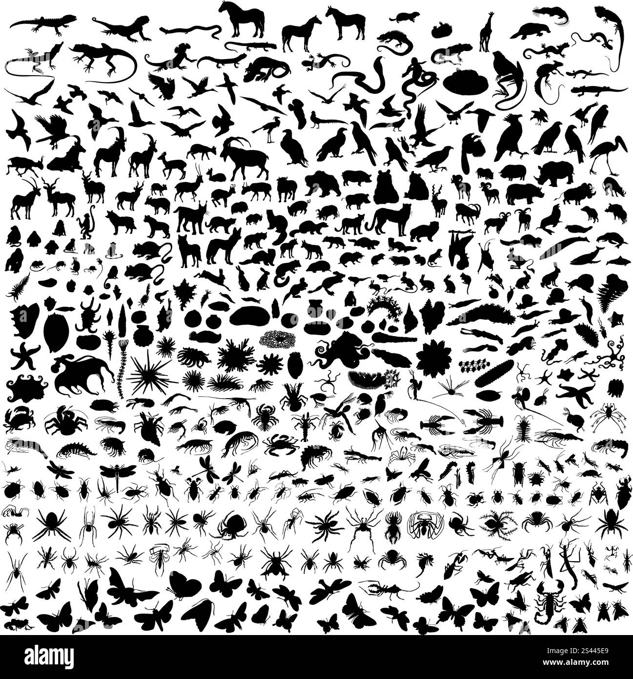 Grande collection de différents animaux silhouettes Illustration de Vecteur