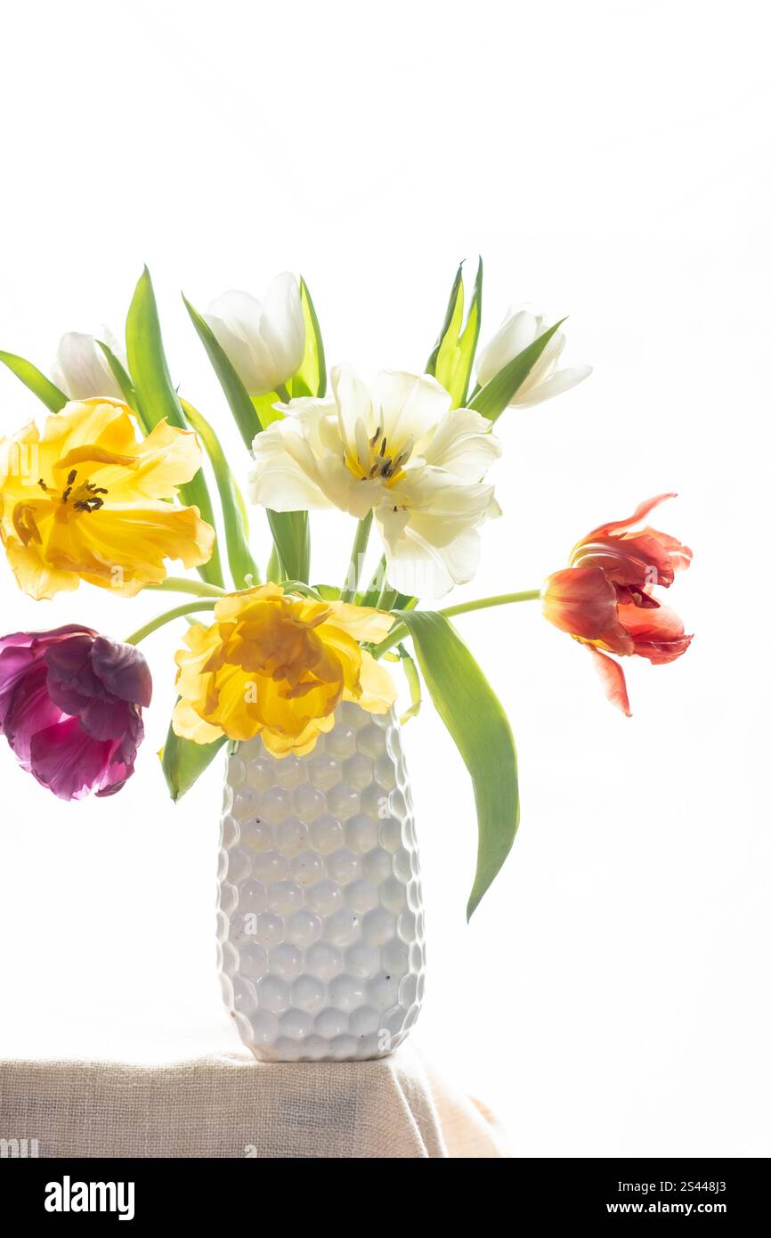 Tulipes vibrantes en rouge, jaune, orange et blanc disposées dans un vase blanc texturé sur un fond clair et aéré. Parfait pour le printemps ou floral-Them Banque D'Images