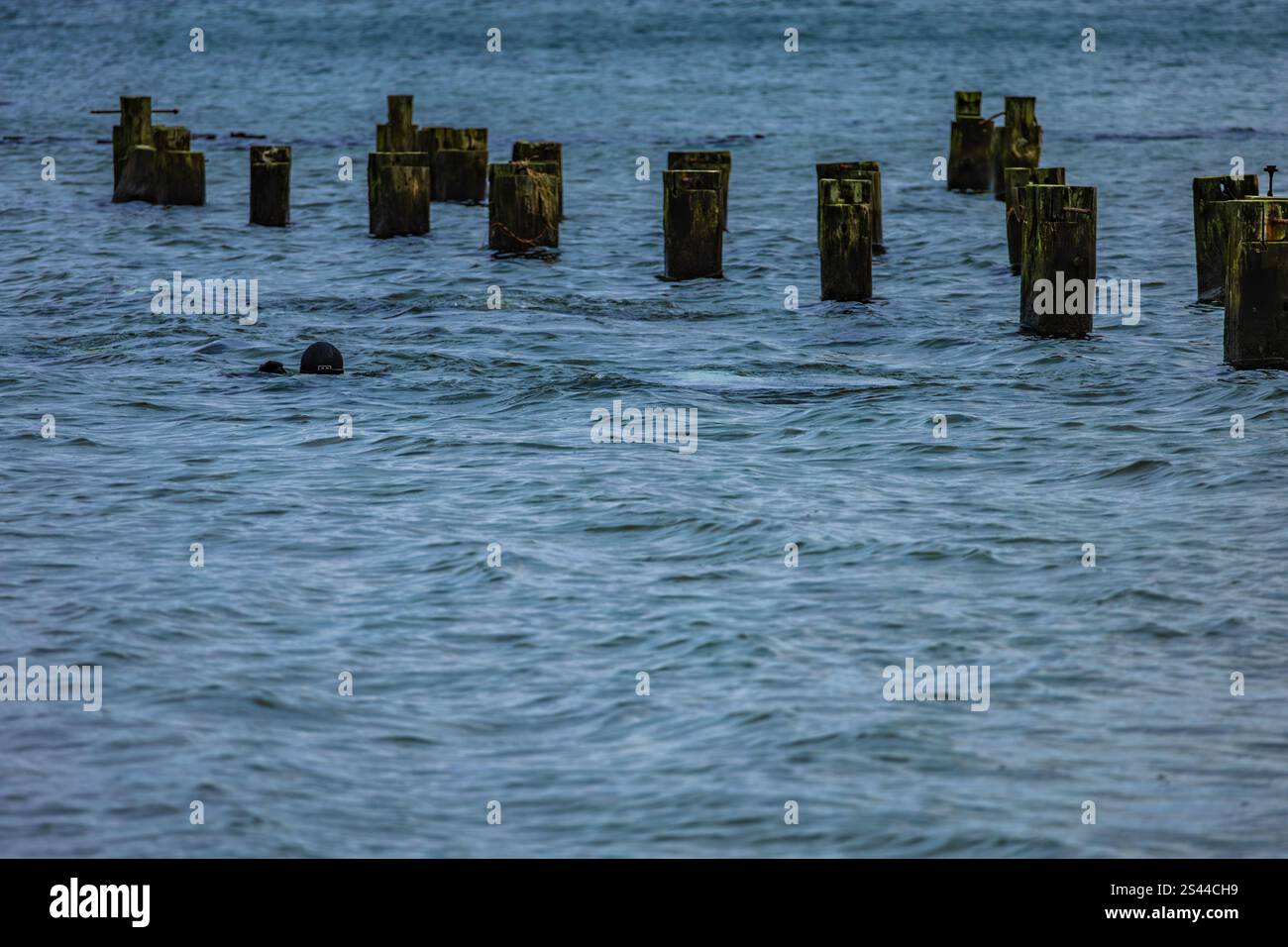 Plongeurs dans la mer Baltique, opération de sauvetage en mer, chasse au trésor, personnes disparues, homme noyé Banque D'Images