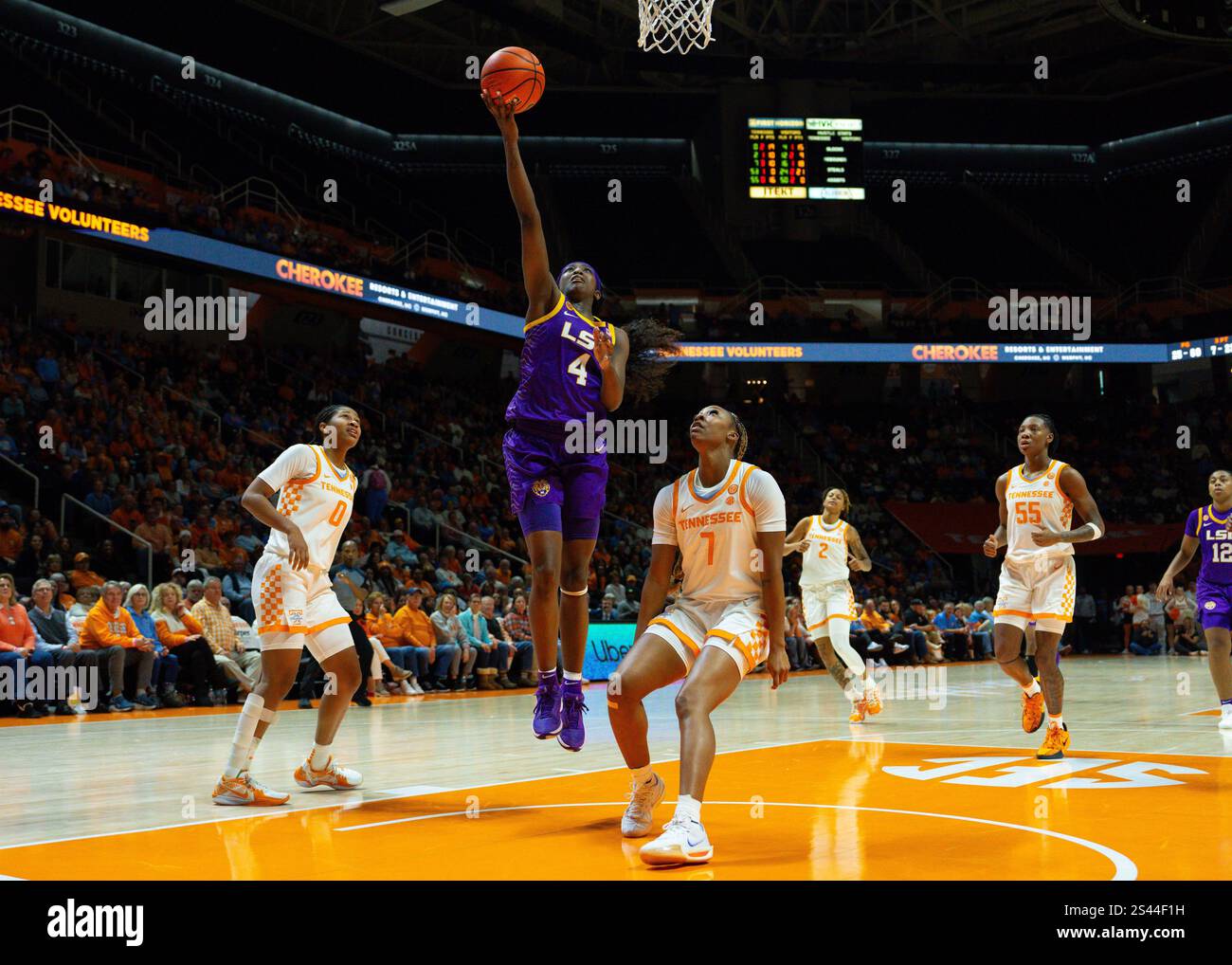9 janvier 2025 : Flau'Jae Johnson (4) des LSU Tigers tire le ballon sur Samara Spencer (7) des Tennessee Lady vols pendant le match de basket-ball de la NCAA entre les volontaires de l'Université du Tennessee Lady et les LSU Tigers à Thompson Boling Arena à Knoxville TN Tim Gangloff/CSM Banque D'Images