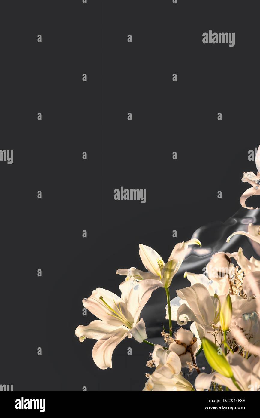 Un superbe bouquet de lis blancs avec un large fond noir et un espace pour le texte ; parfait pour la Saint-Valentin ou d'autres occasions romantiques. Banque D'Images
