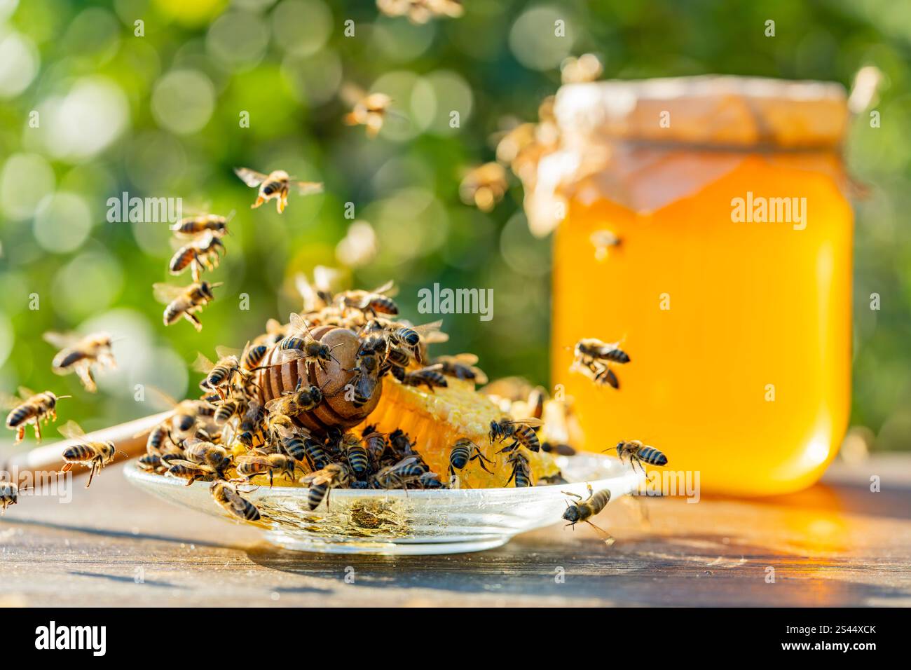 Miel frais, trempette de miel en bois et abeilles sauvages le jour ensoleillé sur fond de nature, gros plan. Concept d'alimentation saine. Miel floral bio en verre Banque D'Images