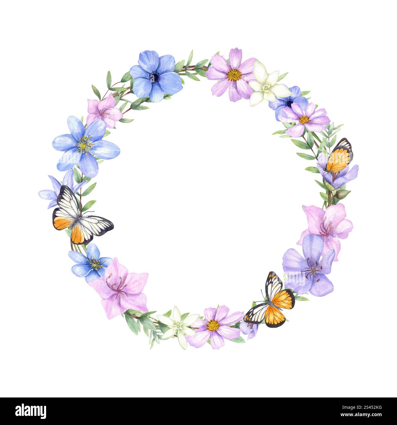 Fleurs printanières à l'aquarelle, branches d'eucalyptus, couronne de papillons orange blanc. Anémone bleue, liverwort, cadre de fleur cosmos rose pour la Saint-Valentin Banque D'Images