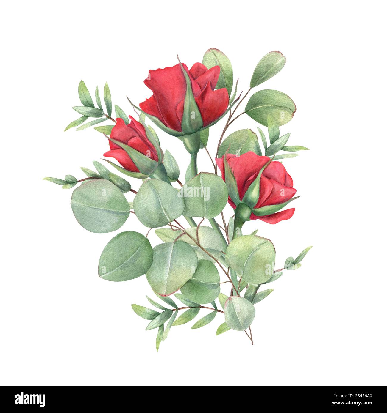 aquarelle fleur de rose rouge, illustration de bouquet de branche d'eucalyptus isolé fond. Plante de jardin fleurie avec des feuilles vertes. Pour les voeux d'anniversaire Banque D'Images