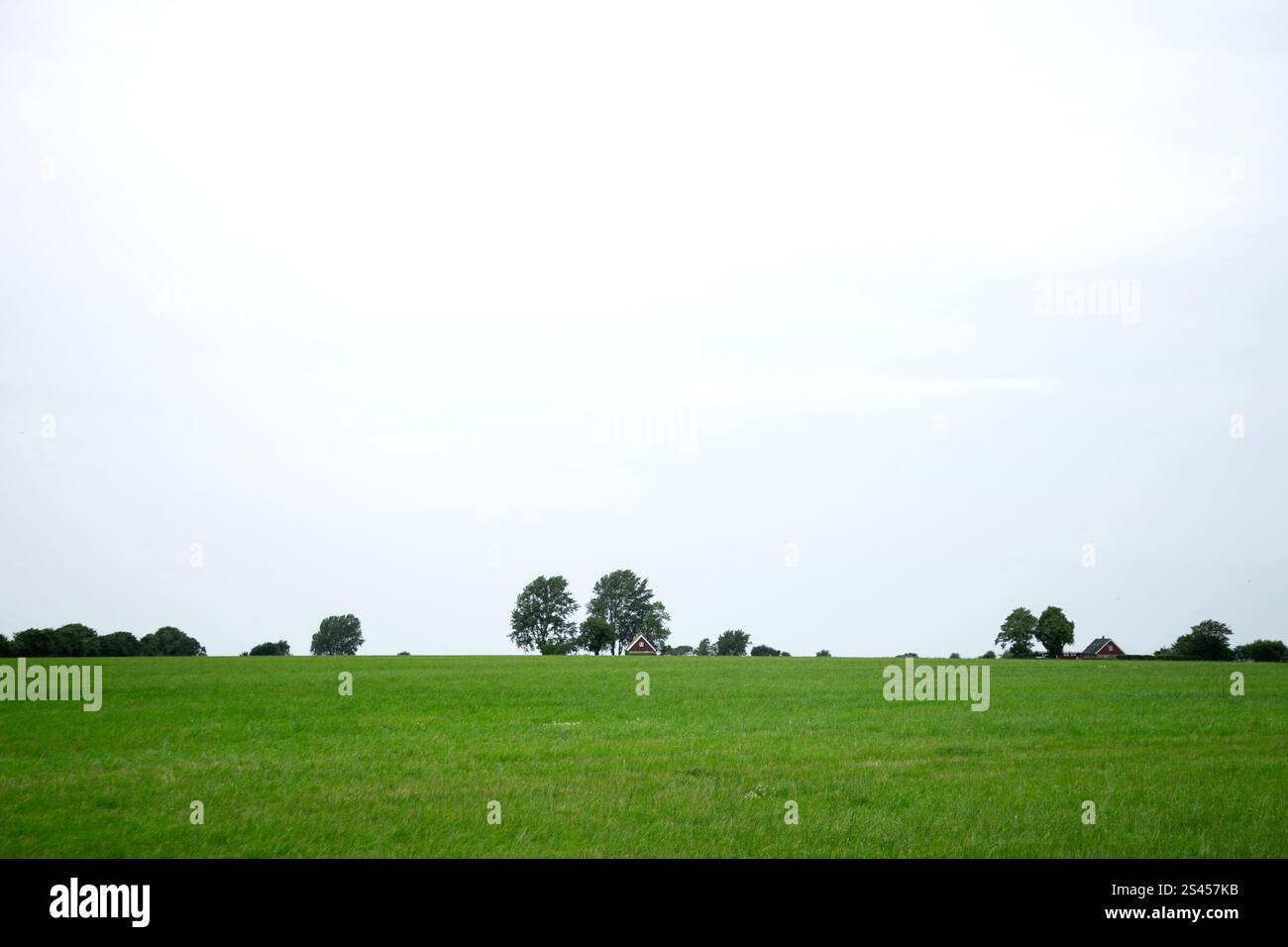 Paysages naturels et routes de campagne dans le sud du Danemark en été. Banque D'Images