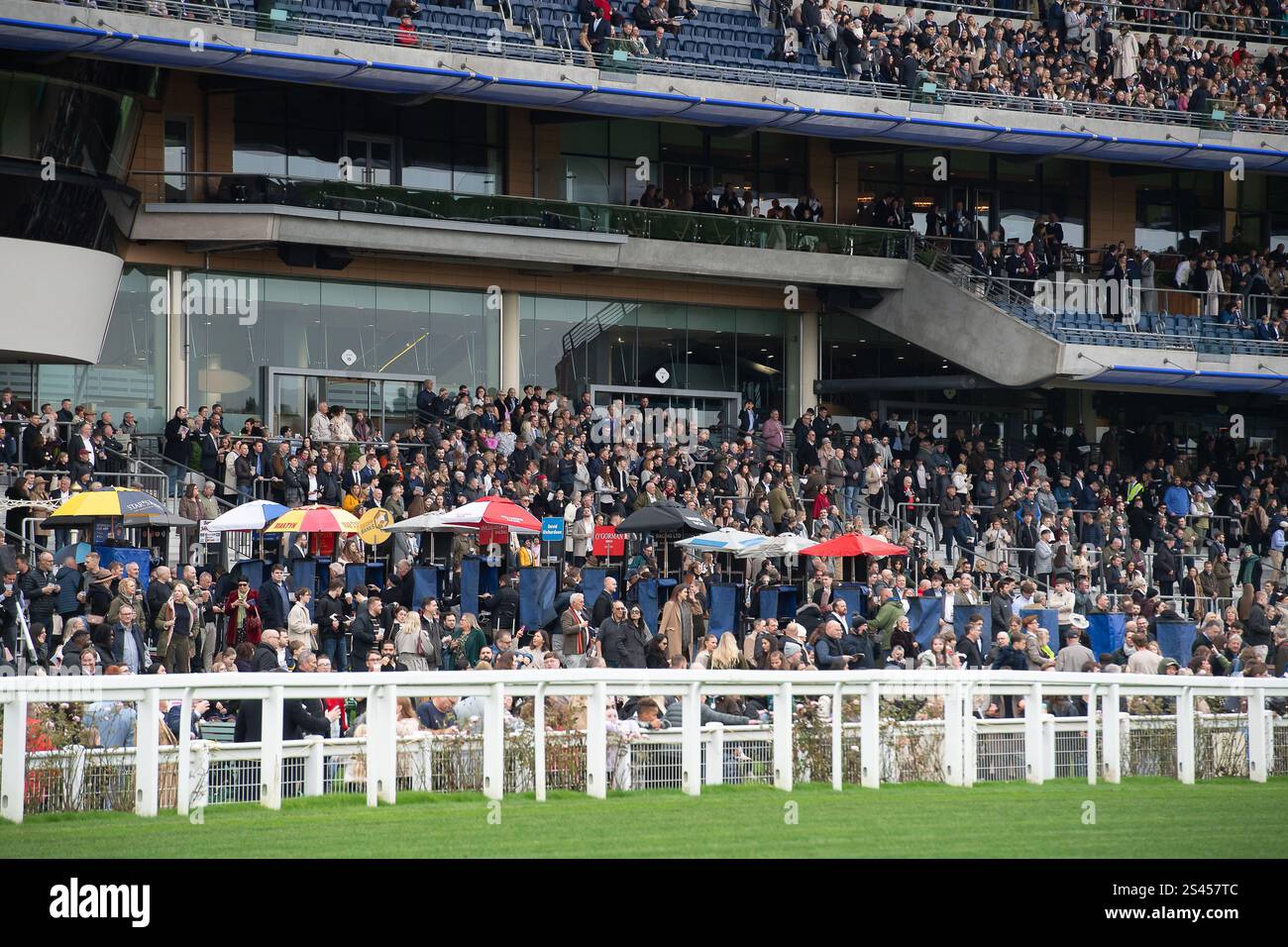 Ascot, Berkshire, Royaume-Uni. 2 novembre 2024. Une tribune remplie au ...