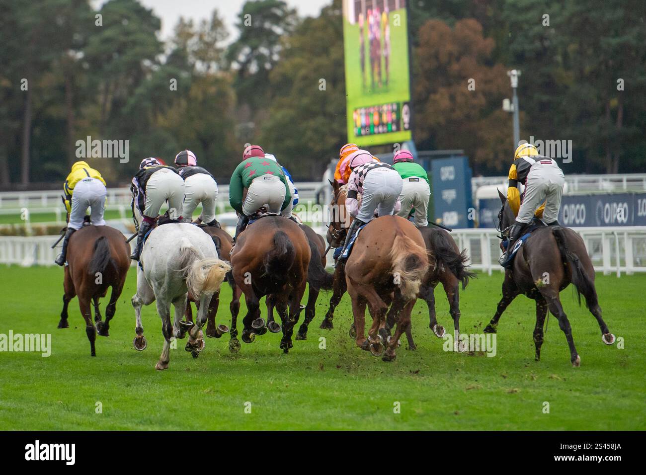Ascot, Berkshire, Royaume-Uni. 2 novembre 2024. La Lavazza handicap ...