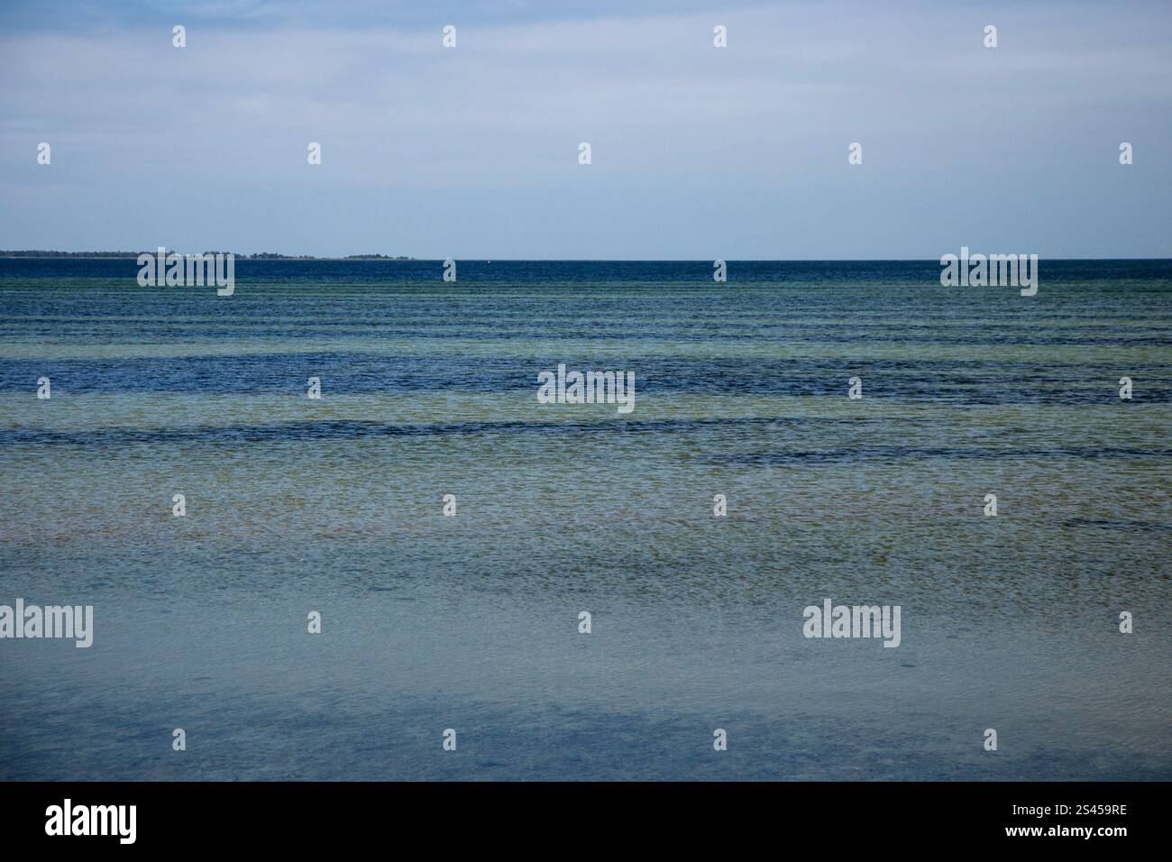 Paysages naturels et routes de campagne dans le sud du Danemark en été. Banque D'Images
