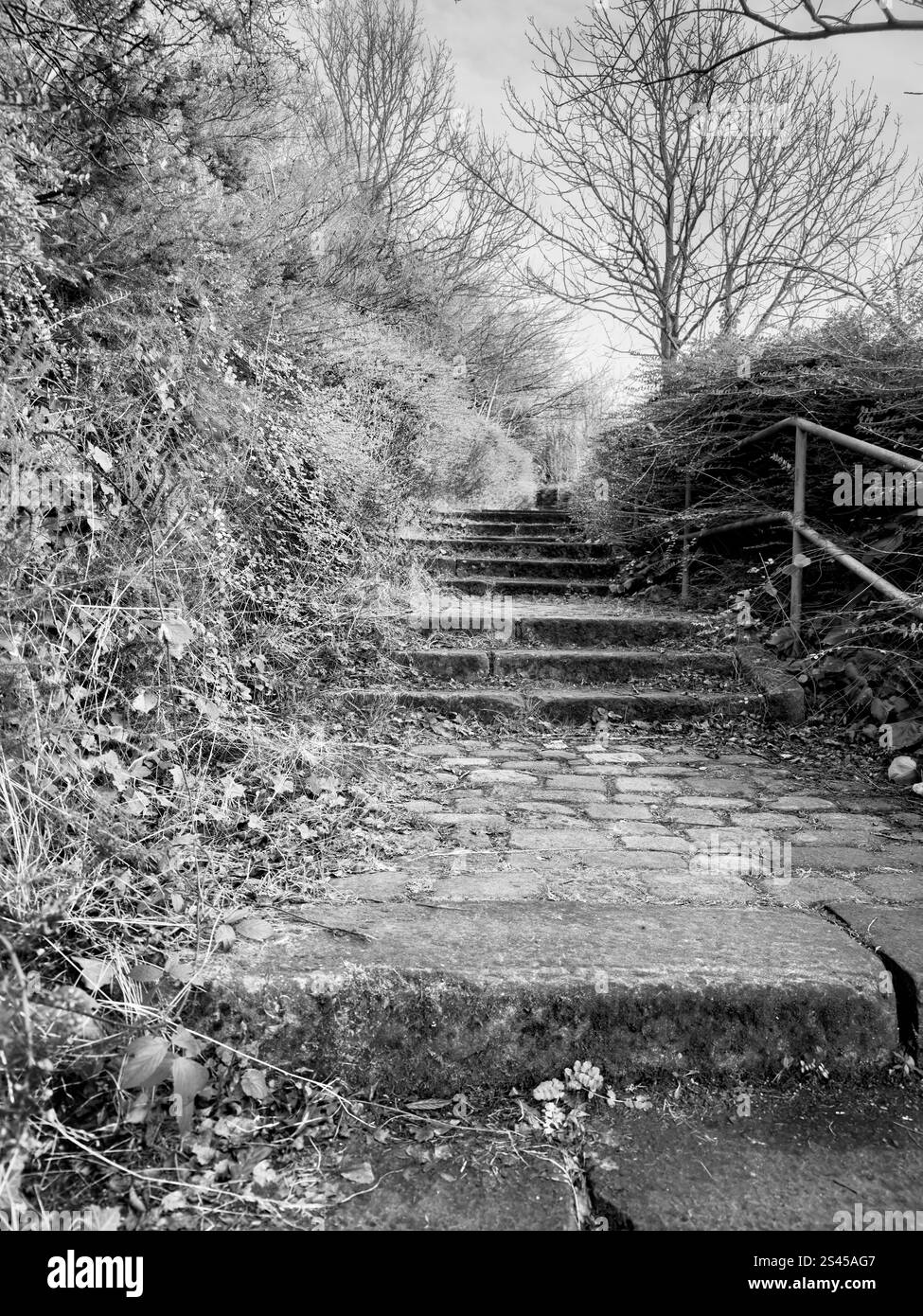 black & white steps par la rivière tyne hadrians way près de newcastle upon tyne uk - Image de stock capturée avec un smartphone black & white steps par la rivière tyne hadrians way près de newcastle upon tyne uk - Image de stock capturée avec un smartphone
