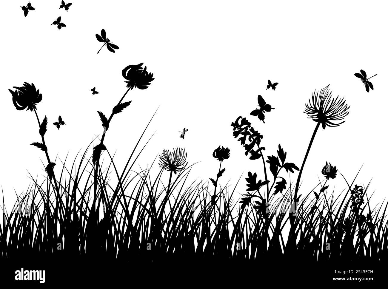 Vector silhouettes herbe arrière-plan. Tous les objets sont séparés. Illustration de Vecteur