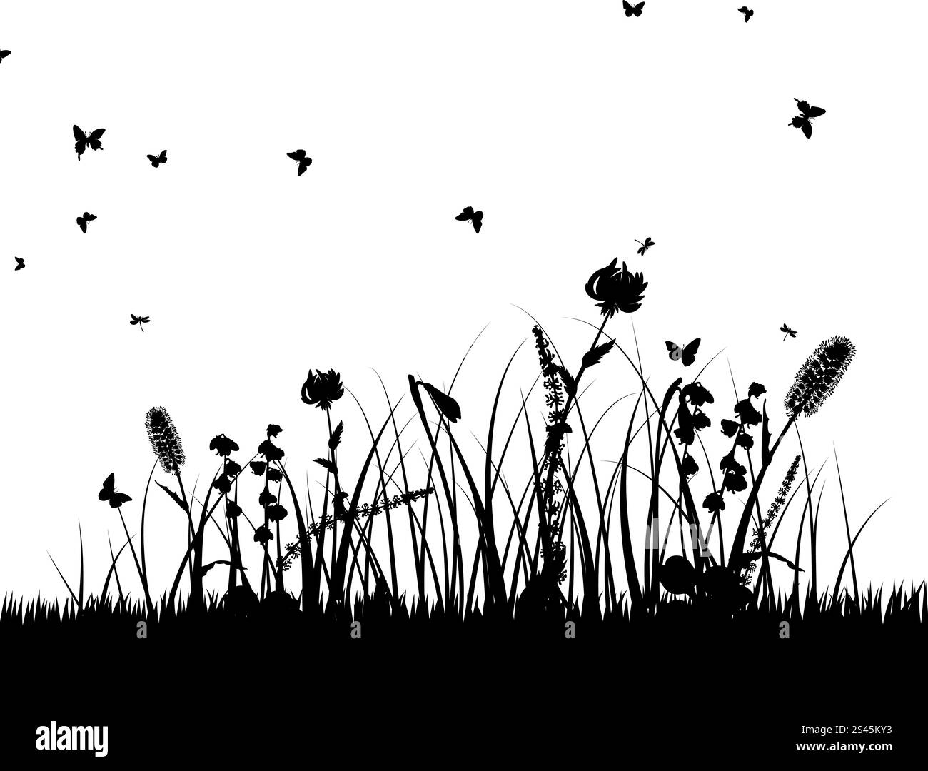 Vector silhouettes herbe arrière-plan. Tous les objets sont séparés. Illustration de Vecteur