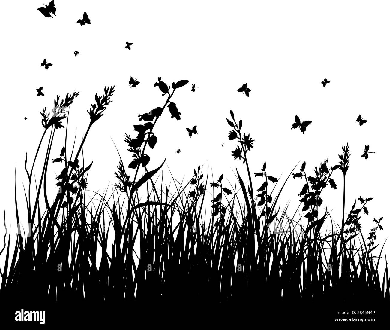 Vector silhouettes herbe arrière-plan. Tous les objets sont séparés. Illustration de Vecteur