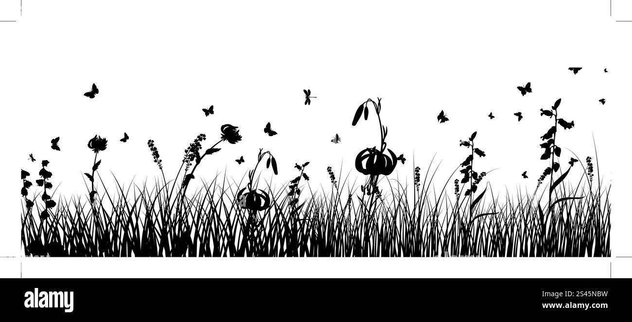 Summer meadow background. Illustration vecteur EPS 10 mailles et sans transparence. Illustration de Vecteur