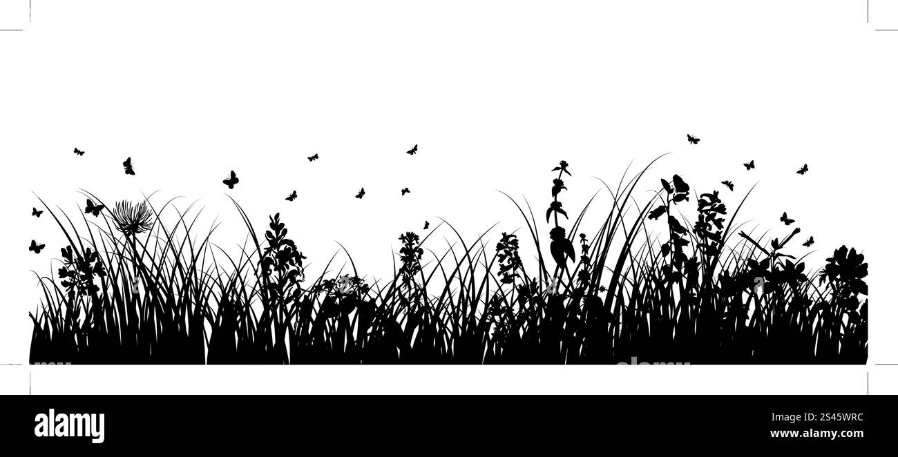 Summer meadow background. Illustration vecteur EPS 10 mailles et sans transparence. Illustration de Vecteur