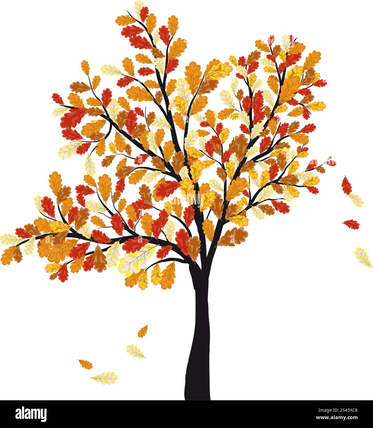 Arbre de chêne de l'automne avec les feuilles qui tombent. Vector illustration. Illustration de Vecteur