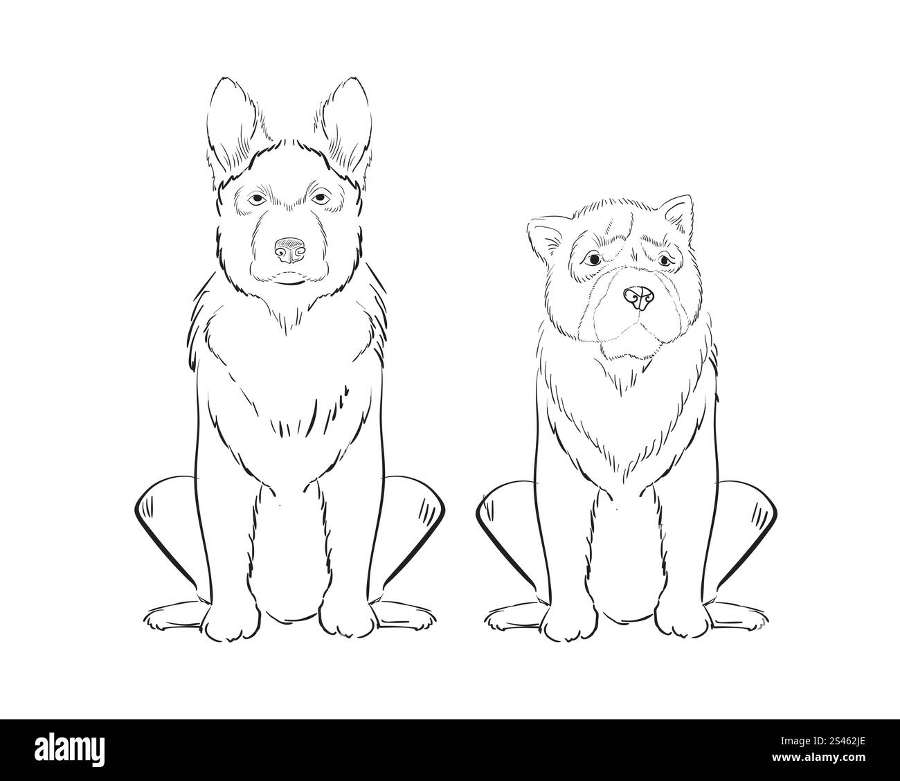 Illustration de chiens dessinés à la main isolés sur fond blanc Illustration de Vecteur