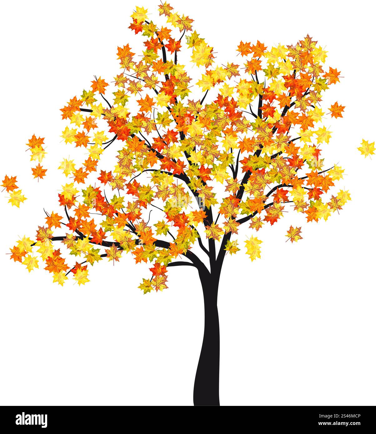 Automne érable. Illustration vecteur EPS 10 sans transparence. Illustration de Vecteur