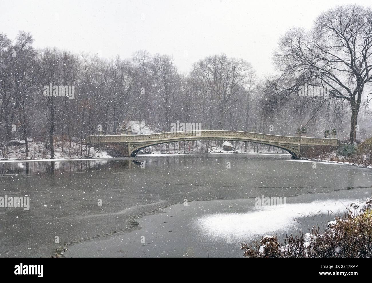 Bow Bridge, Central Park, New York City, tôt le matin en hiver pendant la tempête de neige Banque D'Images