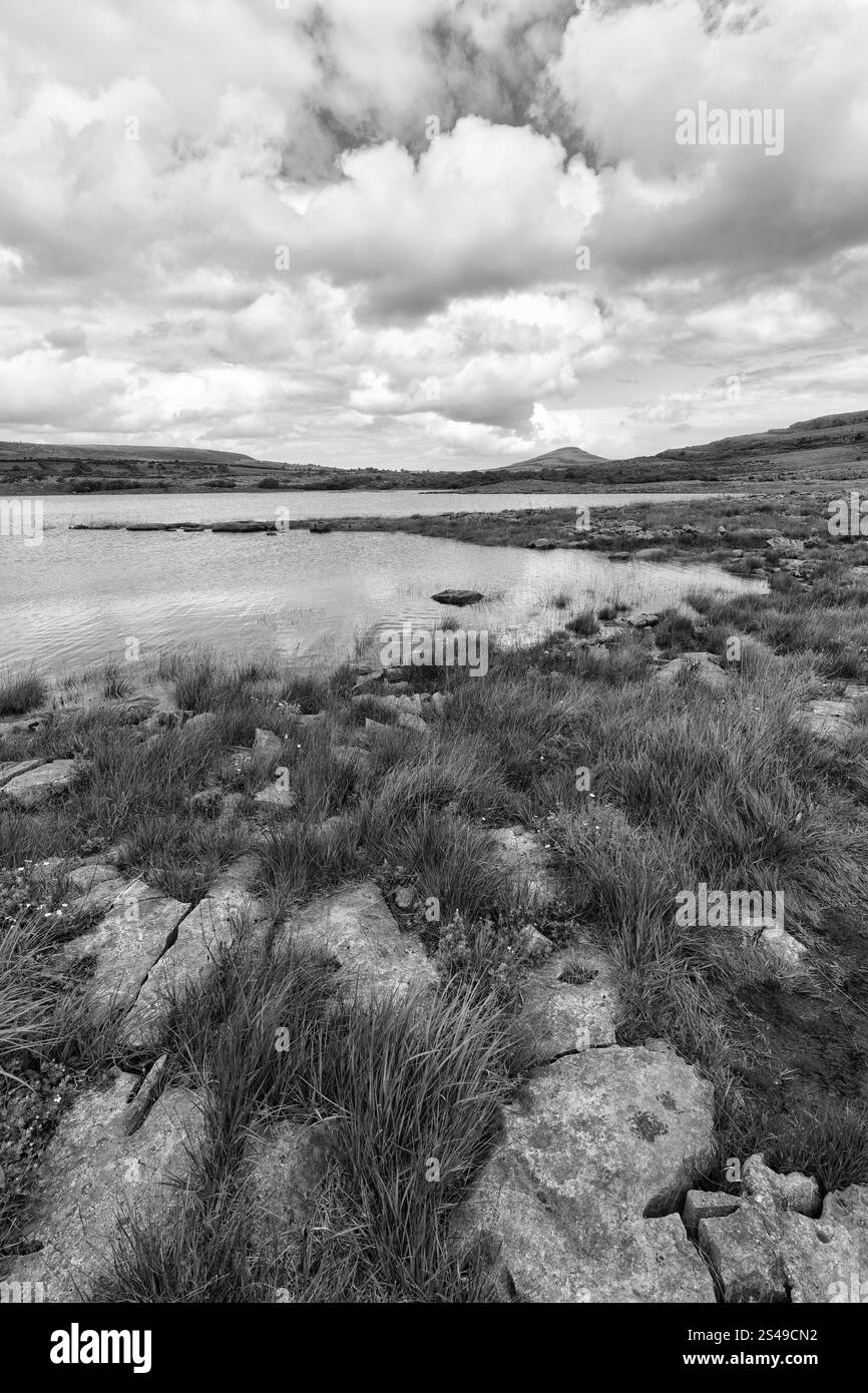 Paysage karstique avec lac, montagne à l'horizon, monochrome, parc national de Burren, comté de Clare, Irlande, Europe Banque D'Images