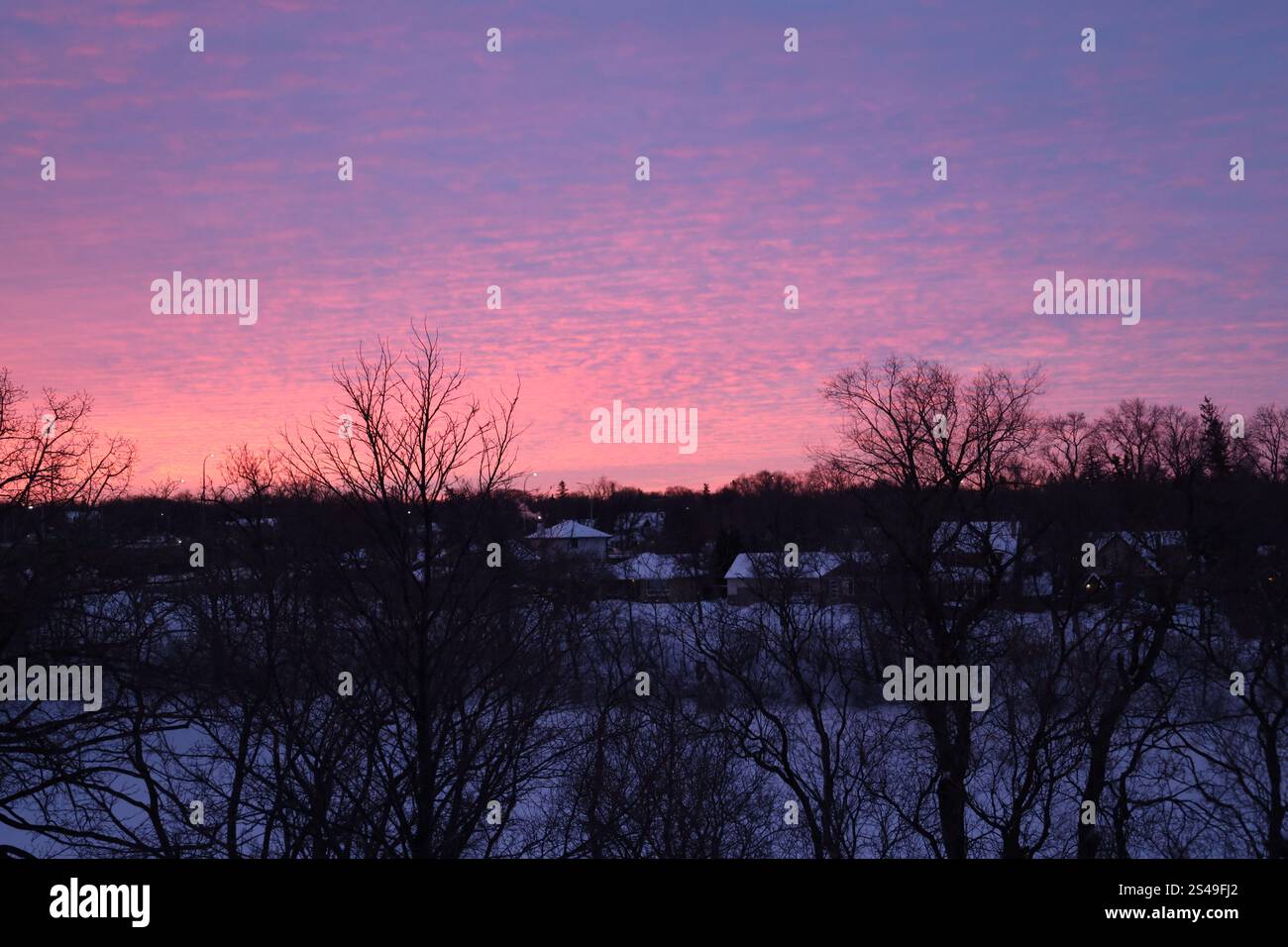 tôt le matin en hiver sous un ciel rose et violet Banque D'Images