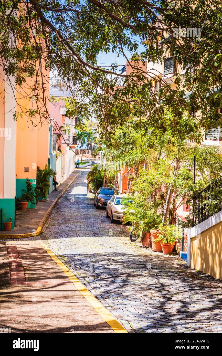 San Juan, Porto Rico - 25 février 2018 : Calle Caleta de San Juan est une rue pavée bordée d'arbres menant à la cathédrale de San Juan Bautista en ol Banque D'Images