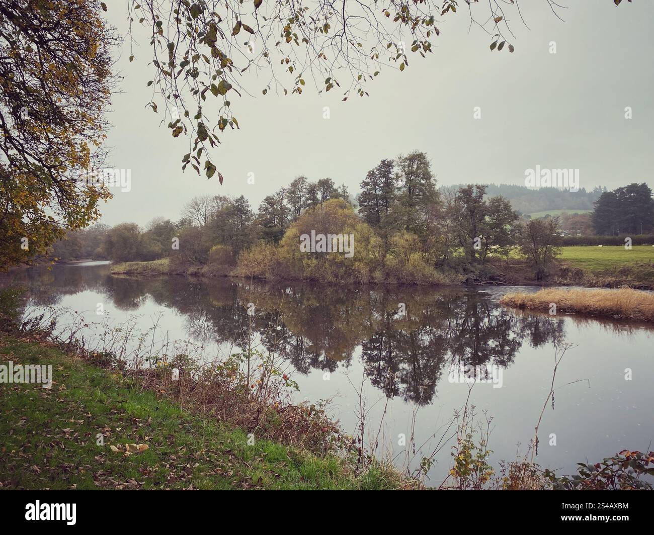 Une photographie en plein air dans un parc un jour d'automne Banque D'Images