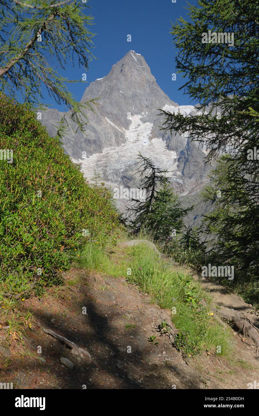 Le massif des Grands Jorasses de la vallée du Val Ferret en Italie - Trekking Mont Blank. Banque D'Images