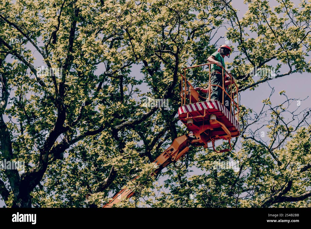 Travailleur en costume de protection et casque se tient sur la plate-forme de la grue, le sauveteur grimpe au sommet de l'arbre Banque D'Images