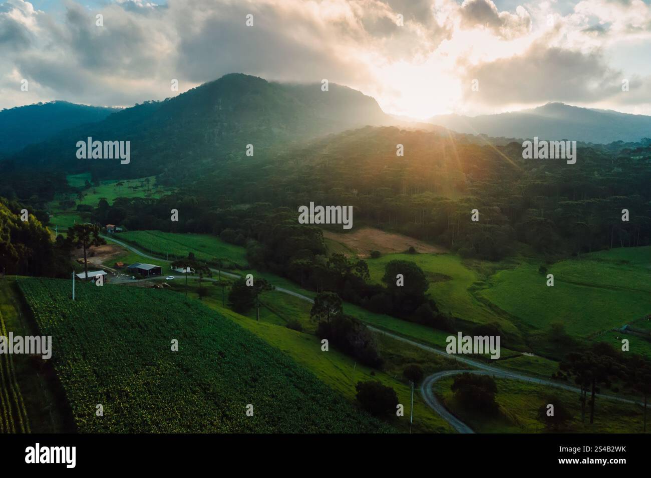 Drone vue d'une zone rurale avec des arbres araucaria et soleil à Urubici, Santa Catarina, Brésil Banque D'Images