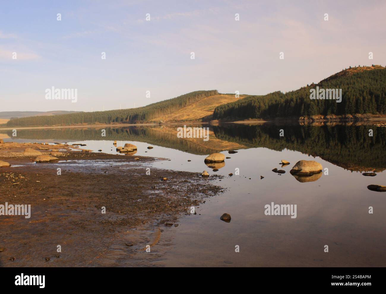 Galloway Forest Park - Écosse Banque D'Images