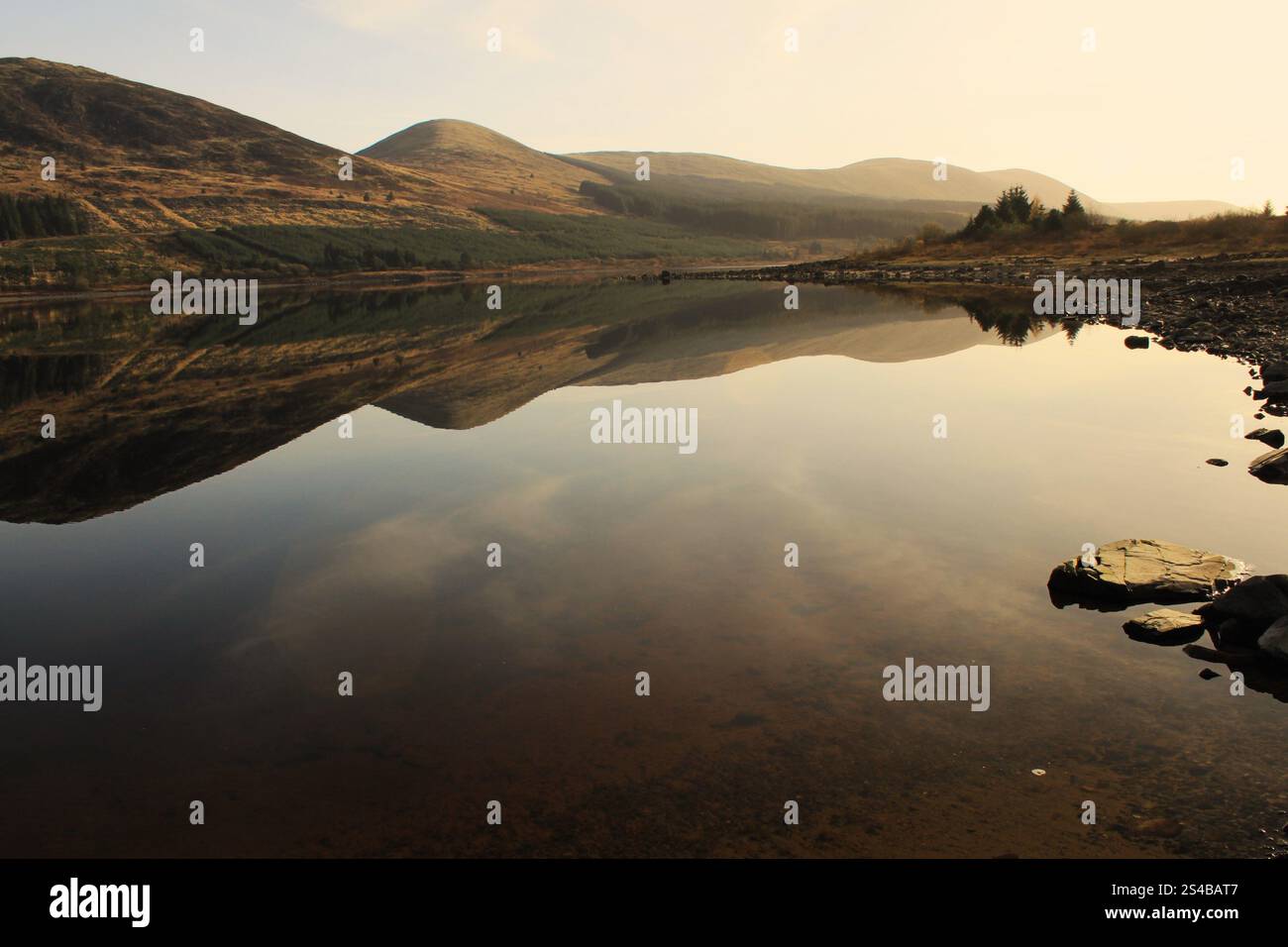 Galloway Forest Park - Écosse Banque D'Images