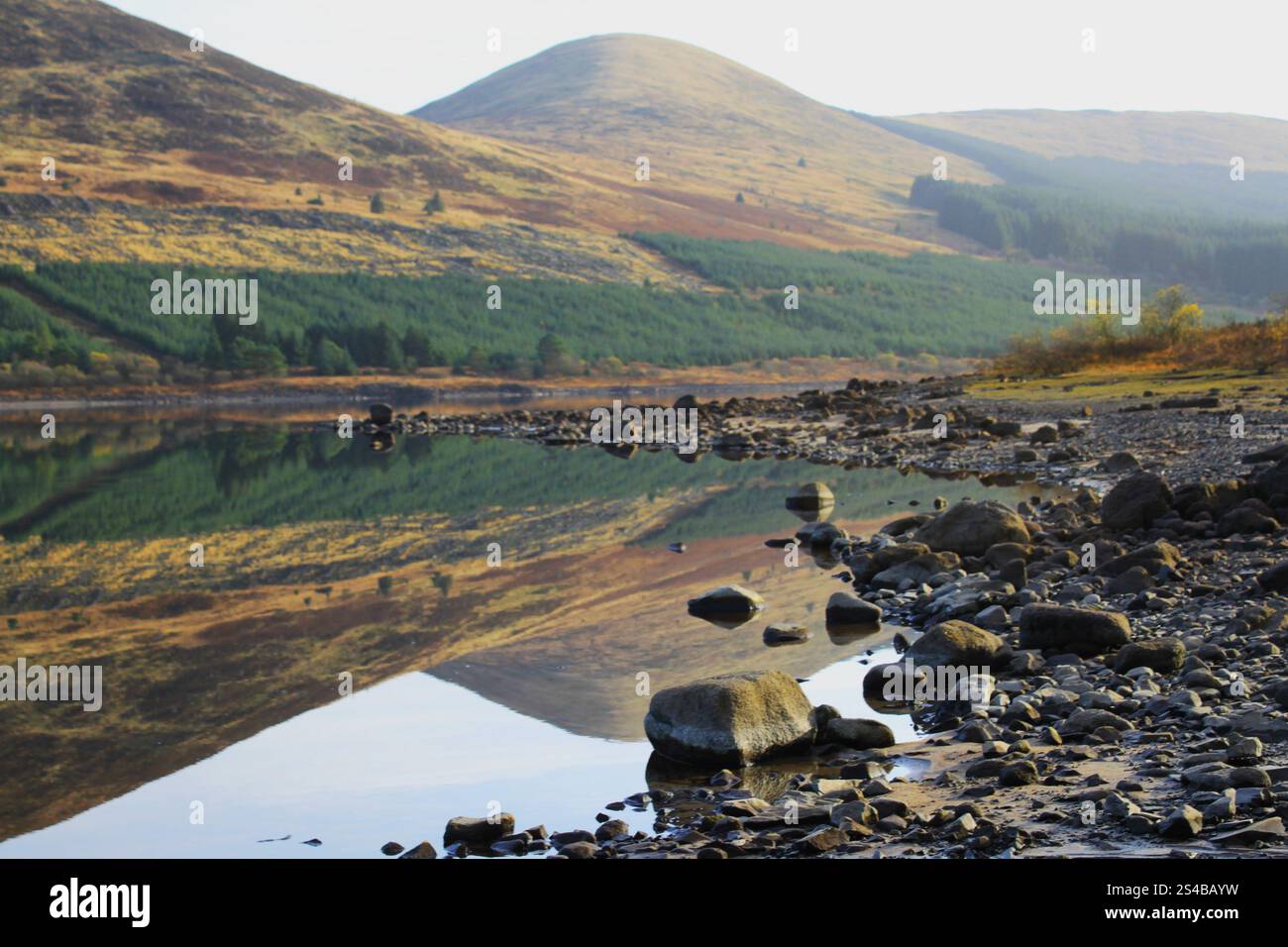 Galloway Forest Park - Écosse Banque D'Images