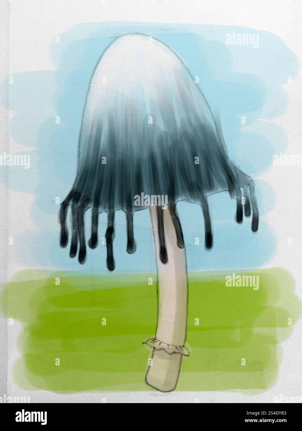 dessin numérique d'un champignon Banque D'Images
