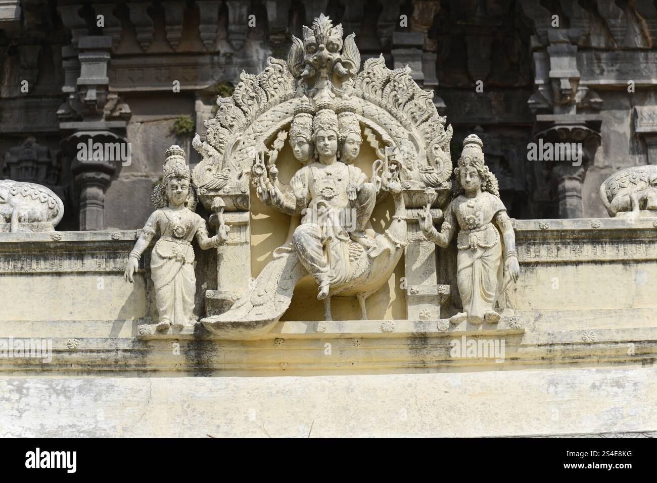 Kanchipuram, Tamil Nadu, Inde du Sud, des reliefs de pierre avec des sculptures détaillées décorent le mur d'un ancien temple indien, Kanchipuram, Tamil Nadu, S. Banque D'Images