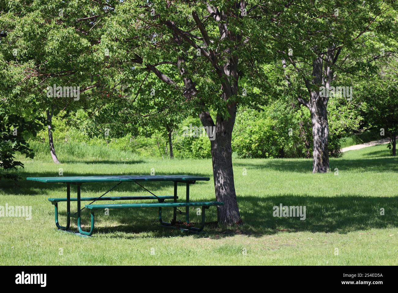 grande table de pique-nique et arbre d'ombrage dans un environnement tranquille par une journée ensoleillée Banque D'Images