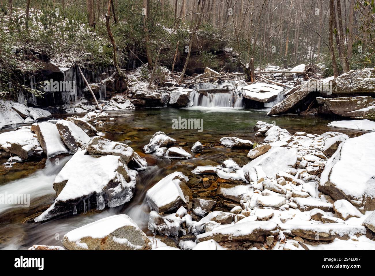 Rochers enneigés dans Looking Glass Creek en hiver - Pisgah National Forest, près de Brevard, Caroline du Nord, États-Unis Banque D'Images