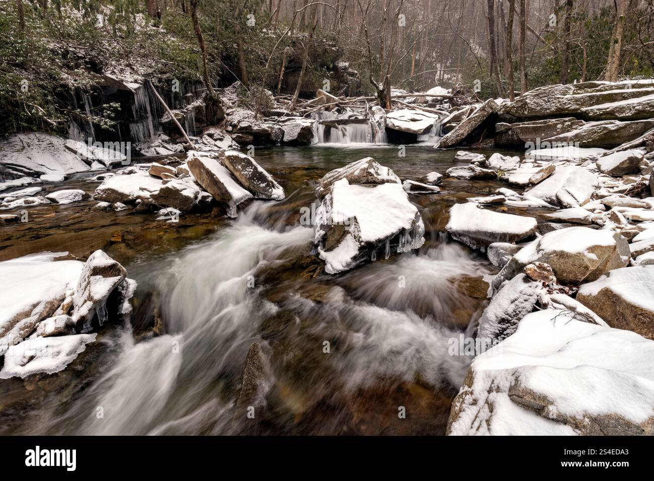 Rochers enneigés dans Looking Glass Creek en hiver - Pisgah National Forest, près de Brevard, Caroline du Nord, États-Unis Banque D'Images