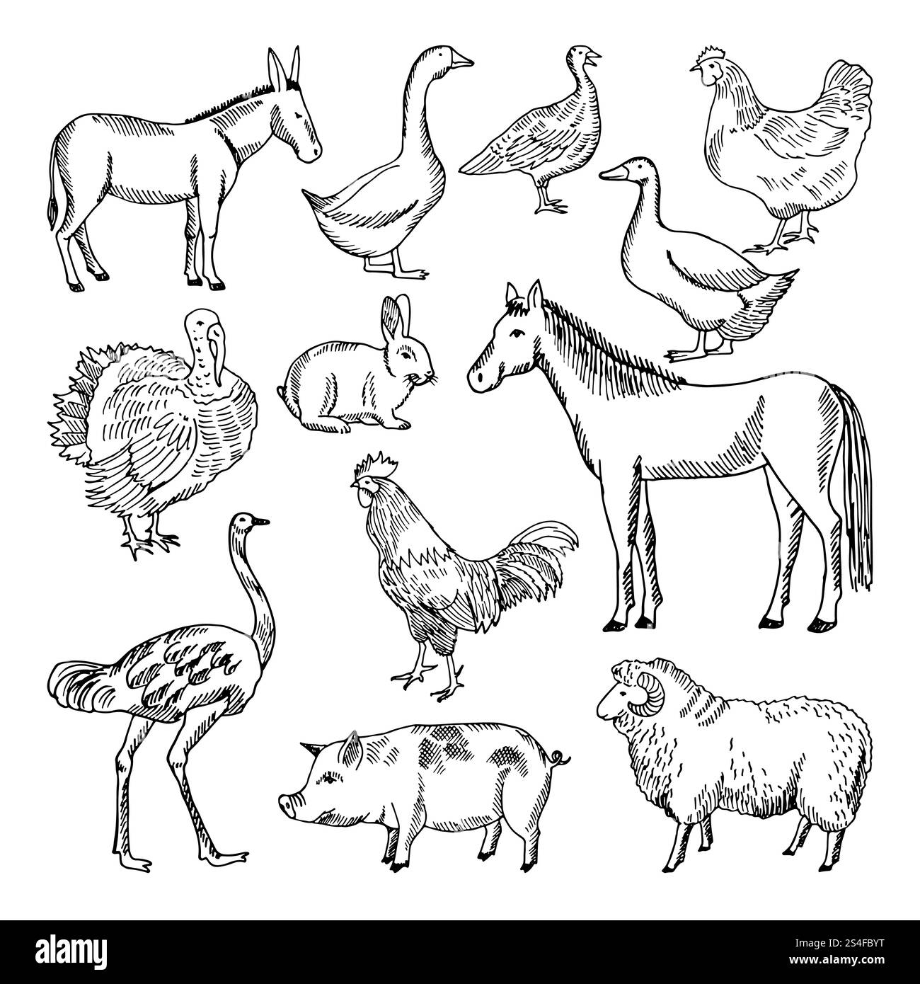 Animaux de ferme mis dans le style dessiné à la main. Illustrations vectorielles. Ferme animalière croquis d'oie et d'agneau, de porc et de cheval. Animaux de ferme mis dans le style dessiné à la main. Illustrations vectorielles Illustration de Vecteur