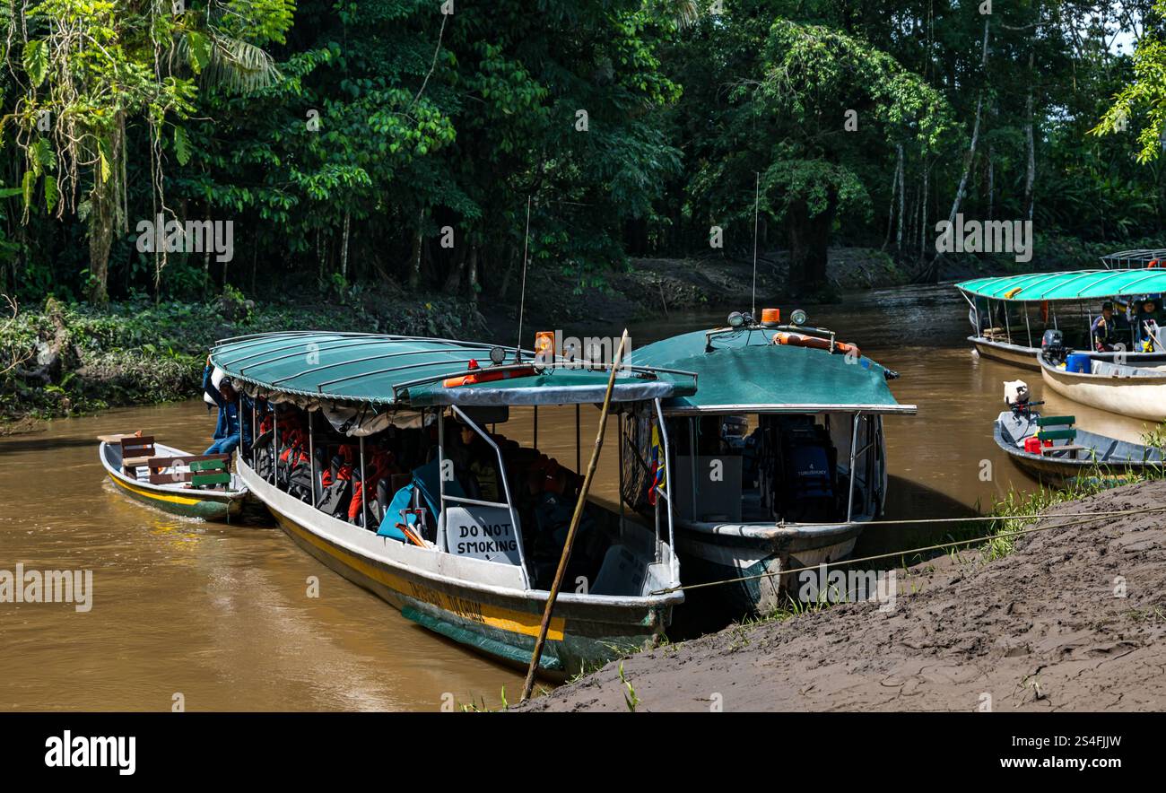 Bateaux fluviaux touristiques amarrés au centre de la faune de Napo sur Anangu Creek, forêt tropicale amazonienne, parc national de Yasuni, Équateur Banque D'Images