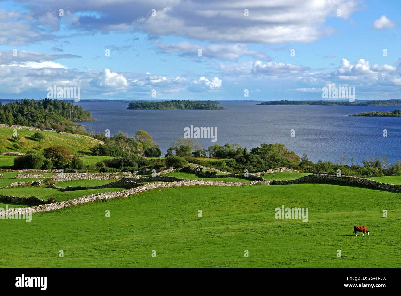 Lough Corrib près de Cong, comté de Mayo, province du Connacht, République d'Irlande, Europe Banque D'Images