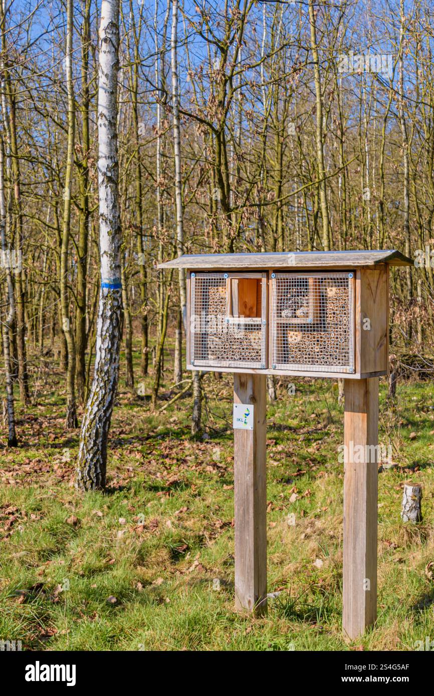 Hôtel insecte dans le parc public Banque D'Images