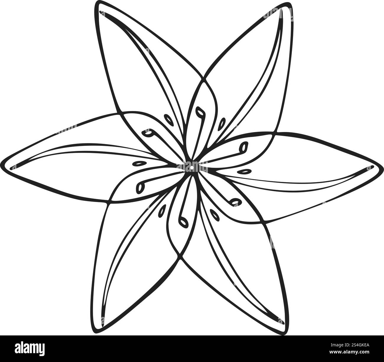 Icône de fleur sauvage. Illustration simple de l'icône de vecteur de fleur sauvage pour la conception de Web isolé sur fond blanc. Icône de fleur sauvage, style simple Illustration de Vecteur