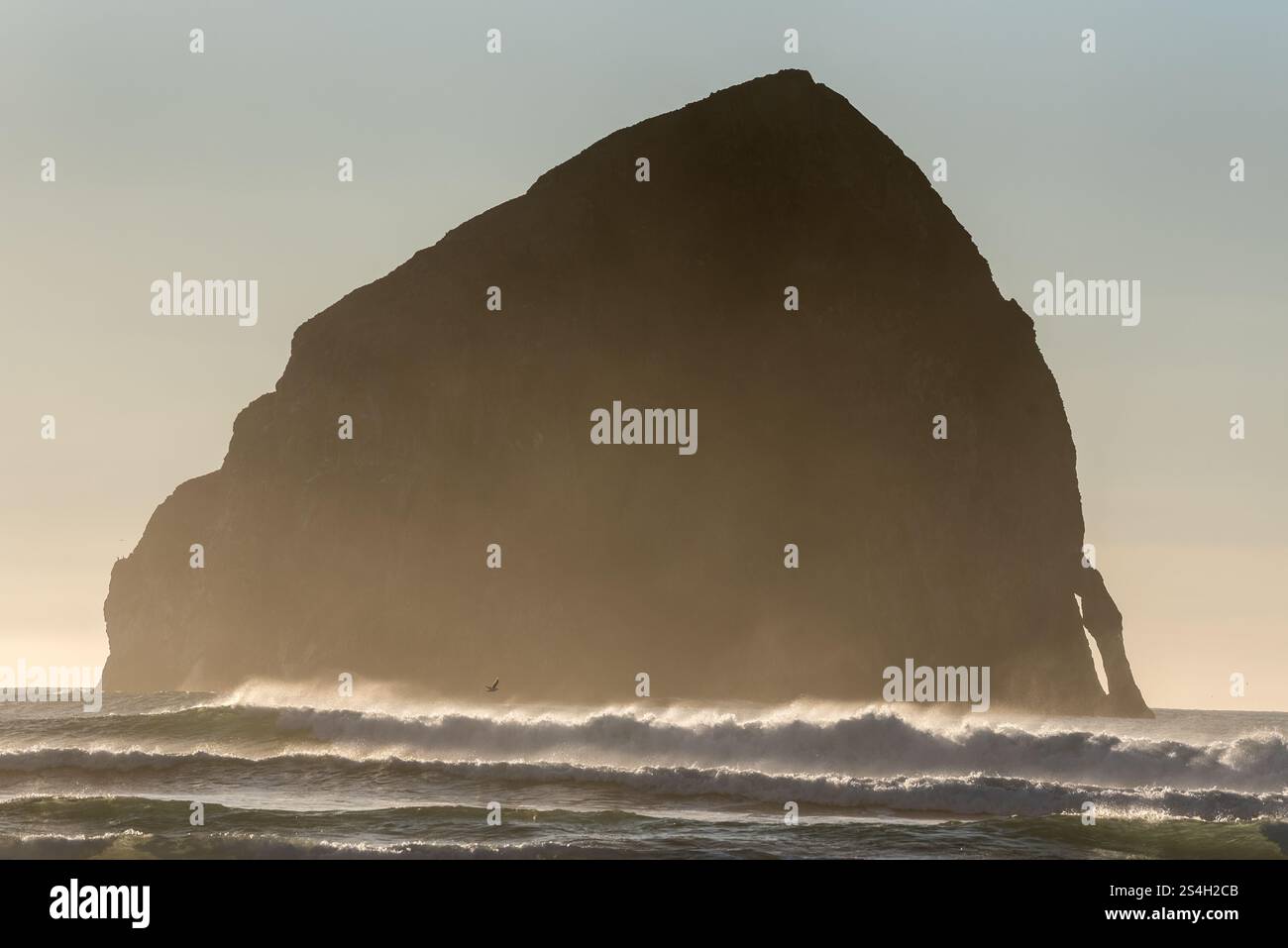 Haystack Rock au large de la côte de Pacific City, Oregon. Banque D'Images